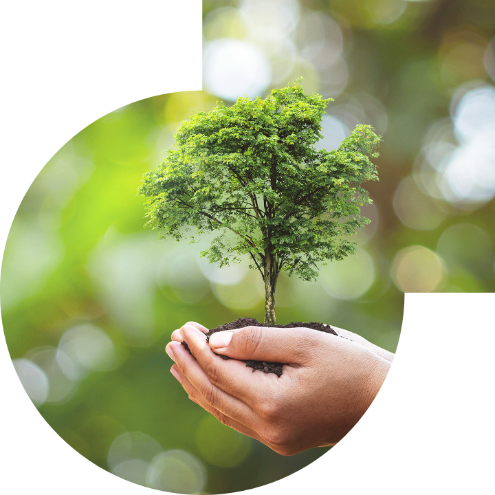 关怀人类、文化、环境与社会